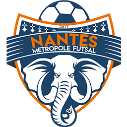 logo-nantes-metropole-futsal_256